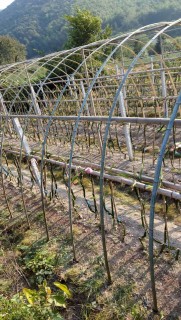 2017年宁波象山四期棚改中心城区项目出炉,共