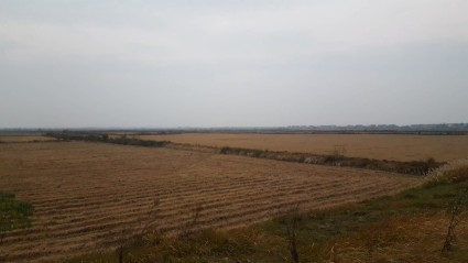 2017年江西省《关于调整土地增值税预征率及