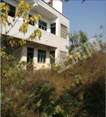 成都  双流 200平米 宅基地 使用权出租