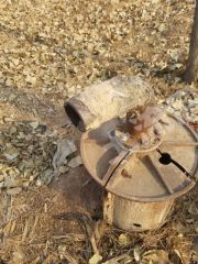 安阳殷都区 700亩 水浇地 经营权出租