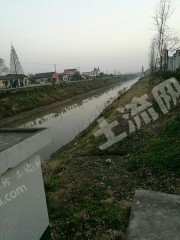 岳阳华容县600亩宜稻虾套养地经营权出租