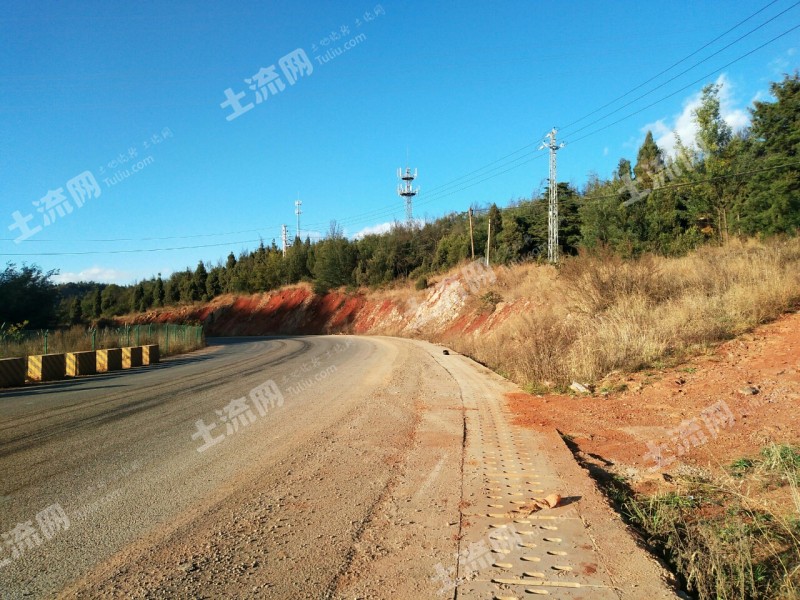 昆明市呈贡区马金铺249亩有林地转让