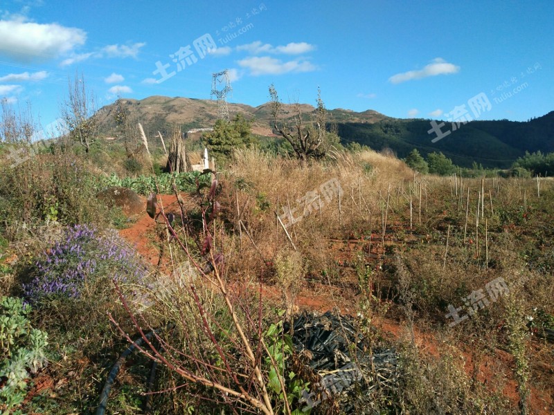 昆明市呈贡区马金铺249亩有林地转让