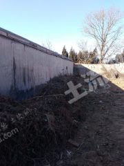 日照东港区220平米宅基地使用权出租，使用权出租