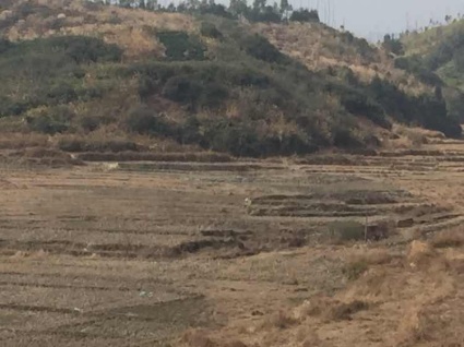 泉州永春县1000亩水田出租