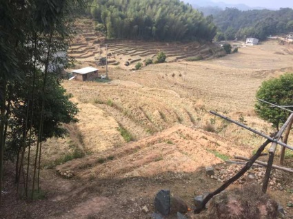 泉州德化县50亩水田出租