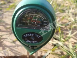 河南安阳 10亩 水浇地 经营权出租