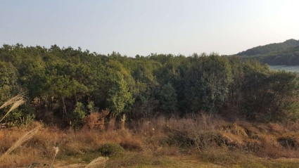 江西省关于2018年完善产权保护制度依法保护