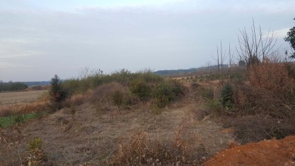 2018年江西省完善产权保护制度依法保护产权