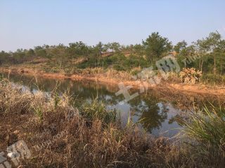 2018年广东韶关企业职工最低工资标准:7月1日