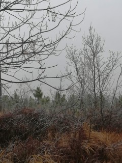 江西省关于2018年完善产权保护制度依法保护