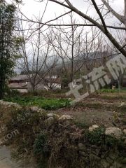 云南大理334平米宅基地使用權(quán)出租