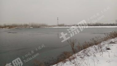 南阳桐柏县 160亩 水库 经营权转包