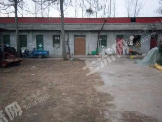 邯郸大名县 500亩 有林地 经营权转让