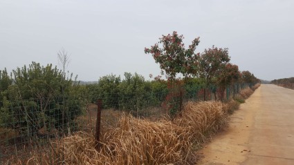 江西省关于2018年完善产权保护制度依法保护