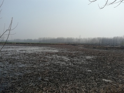 在乡镇上开个水果店利润大概是多少?需要投资