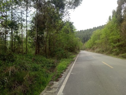 集贤乡人口面积信息_集贤乡图片位置_经济状