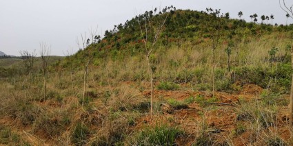 2017-2018年江西省低保标准新规定(附低保申