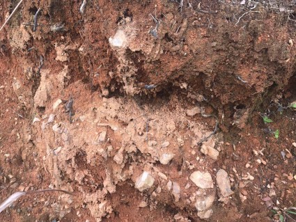 江西省关于2018年完善产权保护制度依法保护