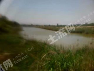 滨州沾化区 47.5亩 坑塘水面 经营权出租