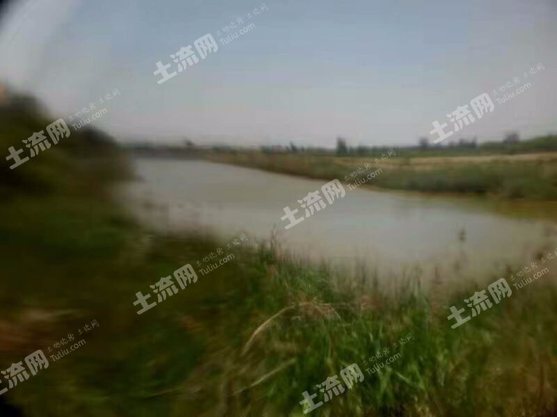 滨州沾化区 47.5亩 坑塘水面 经营权出租