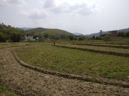 2018年广东省地方税务局环境保护税核定征收