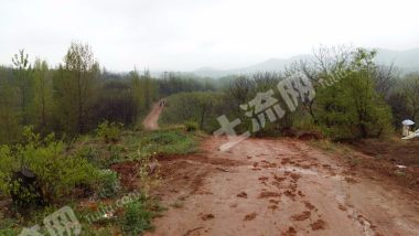 南阳桐柏县 10000亩 乔木林地 经营权出租