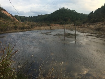 福建泉州20亩水产养殖用地转让