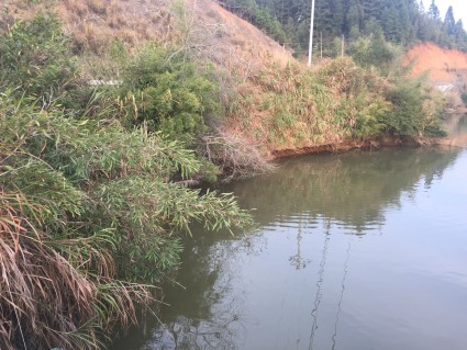 福建泉州38亩水产养殖用地合作