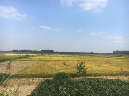 2018年安徽合肥二手房过户税费怎么算?(附收