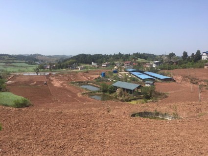 德阳市人民政府关于调整城镇土地使用税税额标