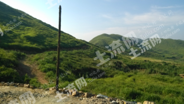 韶关乳源瑶族自治县800亩有林地经营权转让