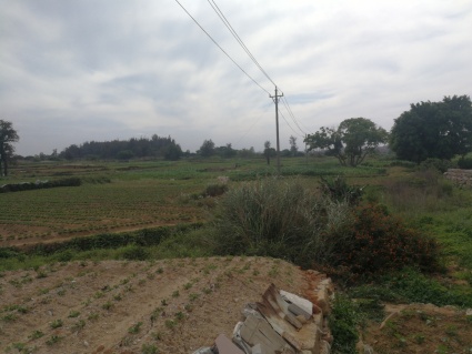 泉州惠安县200亩水浇地转包