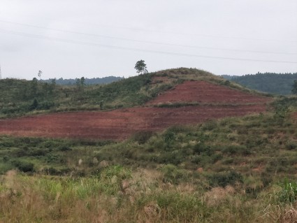 2017年江西省《关于调整土地增值税预征率及