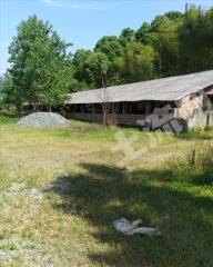 吉安吉水县 9亩 畜牧养殖用地 使用权出租