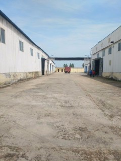 河南农村地区适合种植什么水果树和中药材?