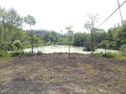 集贤乡人口面积信息_集贤乡图片位置_经济状