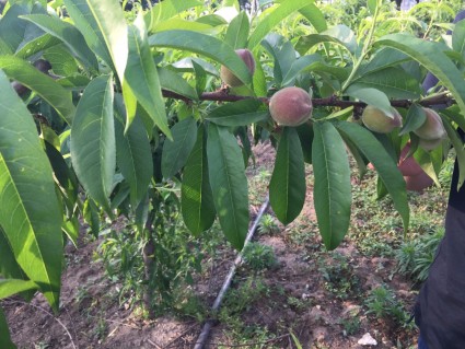 2018-2020河南省城乡居民基本医保对农村贫困