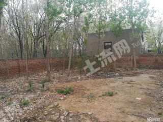 封丘县城边宅基地使用权出租XX957