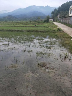 上杭县有多少人口_福建千年客家古城面临拆迁改造引关注(2)