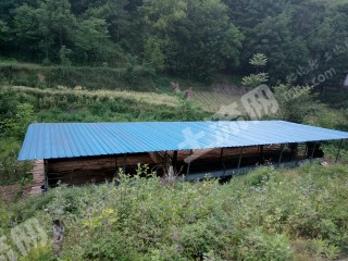 汉中勉县 220亩 果园 经营权转让