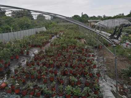 2017成都限购政策:限购细则及相关问题解读(附