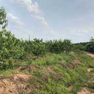 江西三清山世界地质公园主要景点、气候特征及