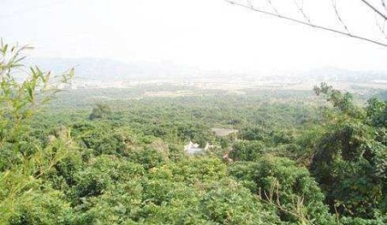 翔安500亩农场转让