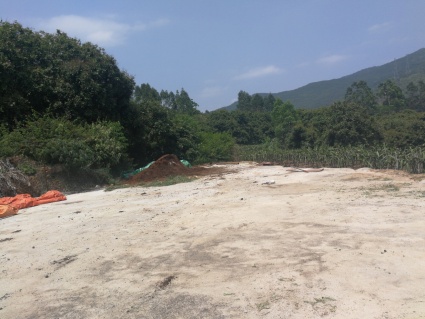 泉州南安市100亩果园转让