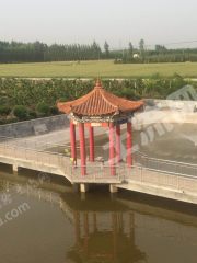 获嘉县25亩小型农场经营权转让或出租XX981