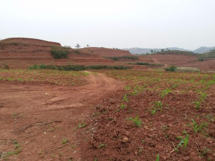 2018年四川眉山社会保险费缴费标准:每月缴多