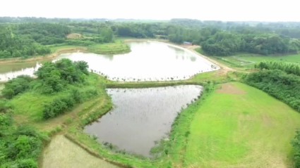 2018河南低保政策标准:农村每人年均不低于3