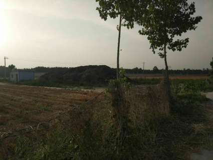 2018年河南农村低保标准:每月领多少钱?