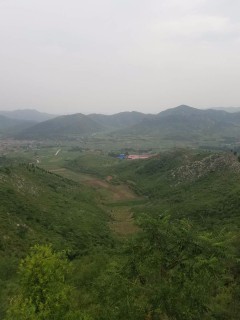 林州市2017年城乡居民基本医疗保险费集中征